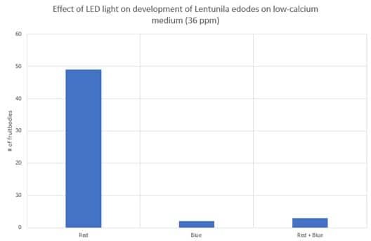 Efecto de la luz LED en el desarrollo de Lentunila edodes en medio con bajo contenido de calcio
