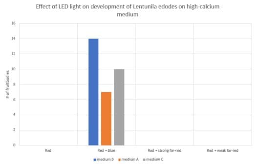 Efecto de la luz LED en el desarrollo de Lentunila edodes en medio con alto contenido de calcio