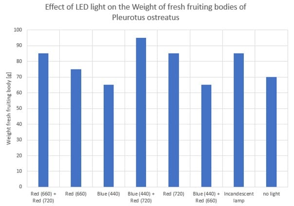 Efecto de la luz LED sobre el peso de cuerpos fructíferos frescos de Pleurotus ostreatus _yo2011