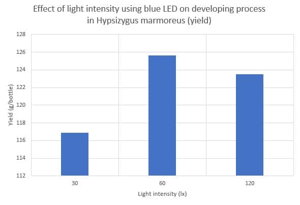 Efecto de la intensidad de la luz usando LED azul en el proceso de revelado en Hypsizygus marmoreus