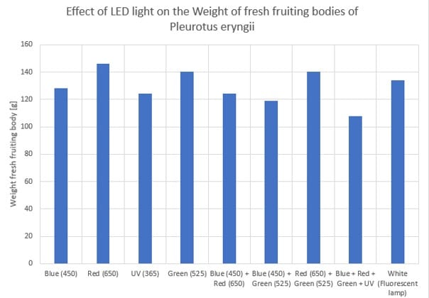 Efecto de la luz LED sobre el peso de cuerpos fructíferos frescos de Pleurotus eryngii_yo2011
